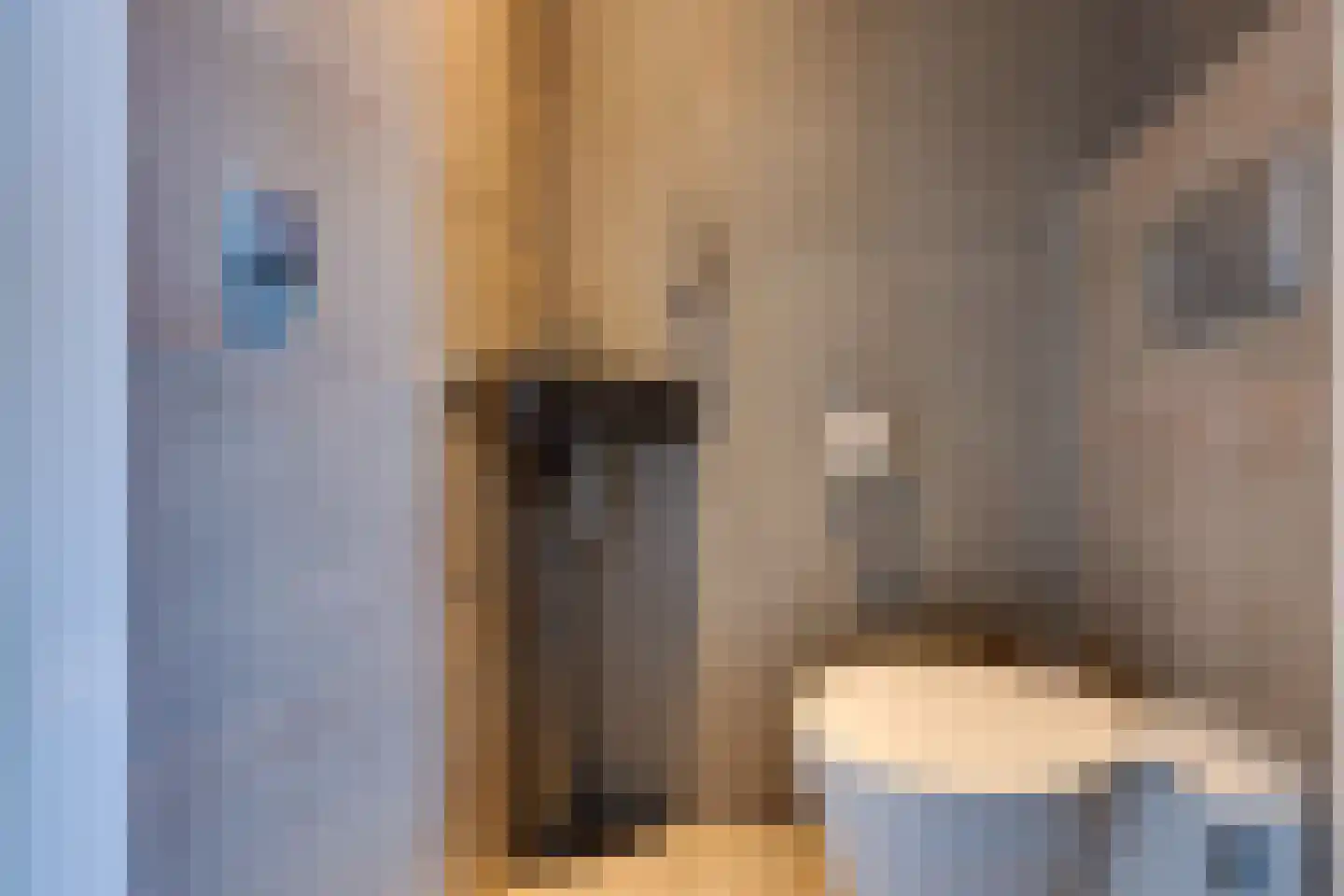 Julianalaan 19 Bedum thumbnail 23