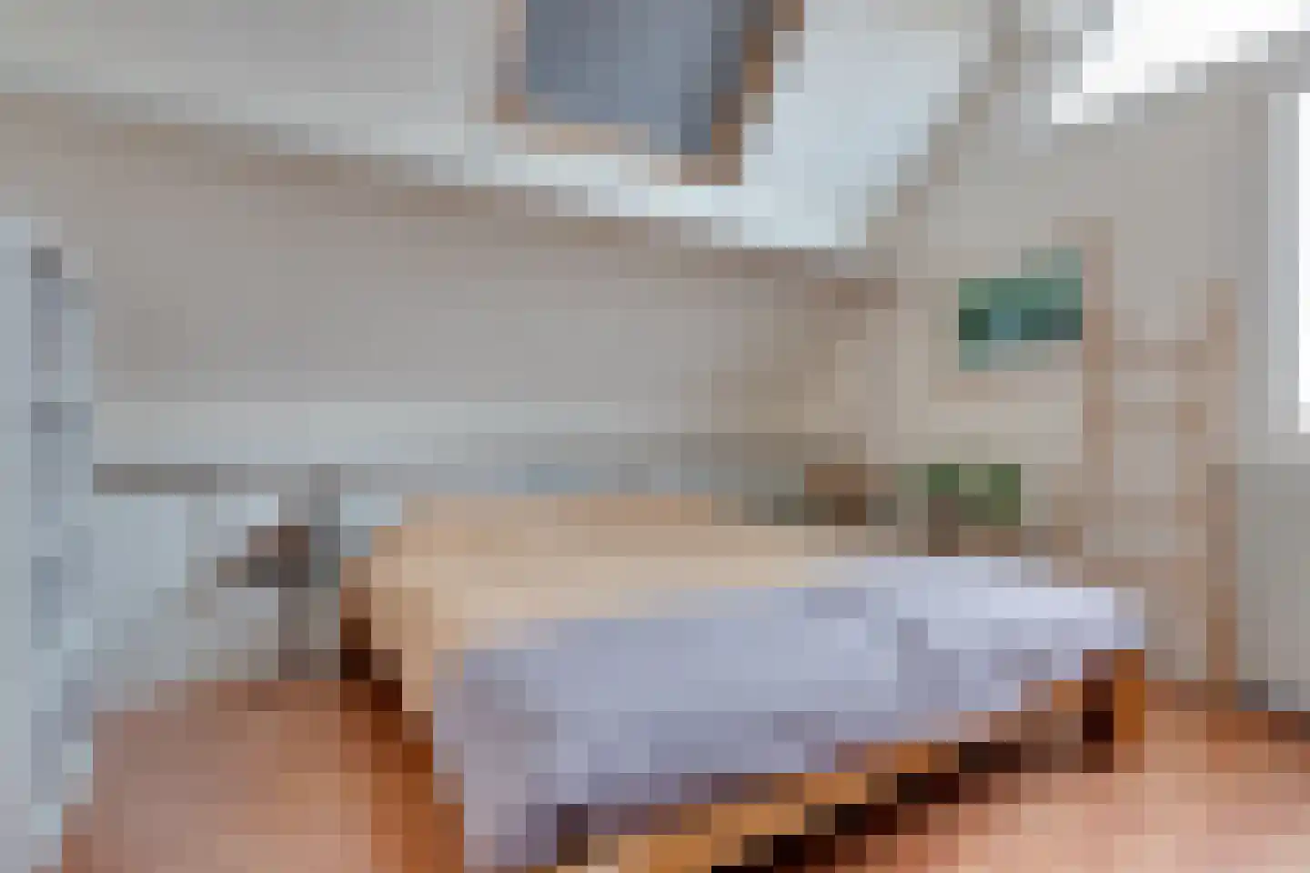 Julianalaan 19 Bedum thumbnail 28