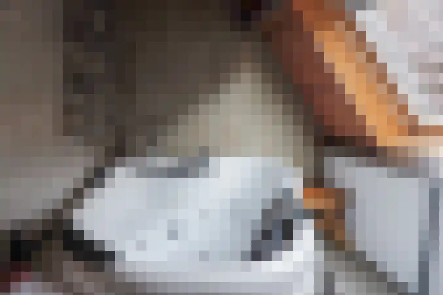 Julianalaan 19 Bedum thumbnail 35