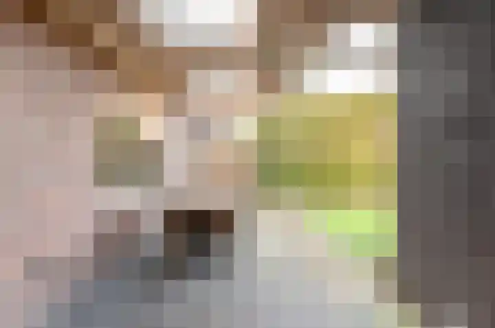 Julianalaan 19 Harderwijk thumbnail 32