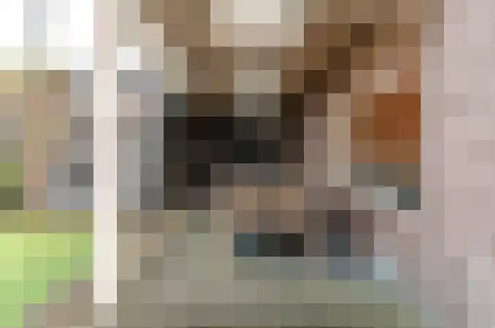 Julianalaan 19 Harderwijk thumbnail 33