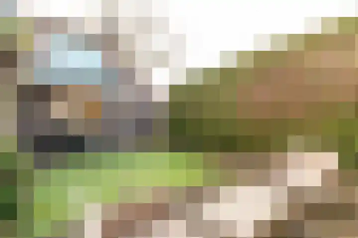 Julianalaan 19 Harderwijk thumbnail 34