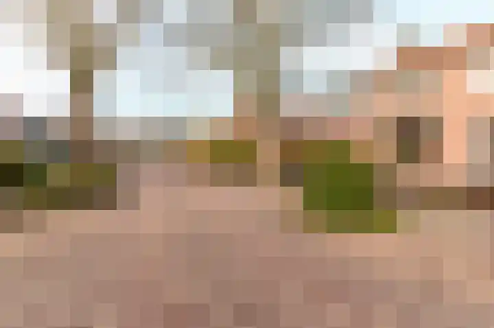 Julianalaan 19 Harderwijk thumbnail 42