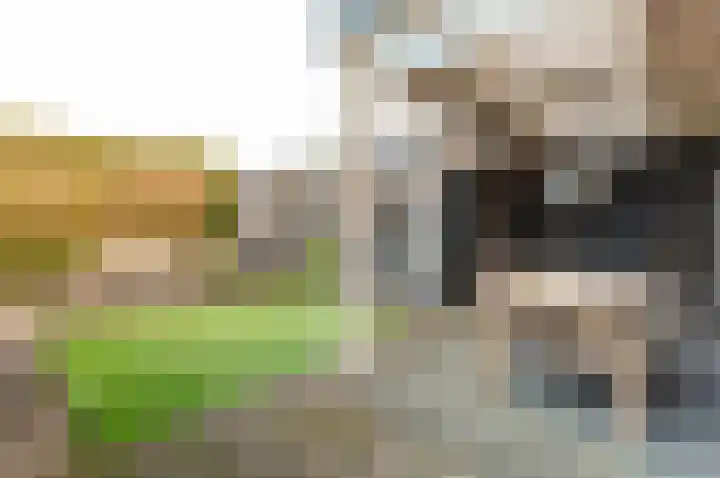 Julianalaan 19 Harderwijk thumbnail 6
