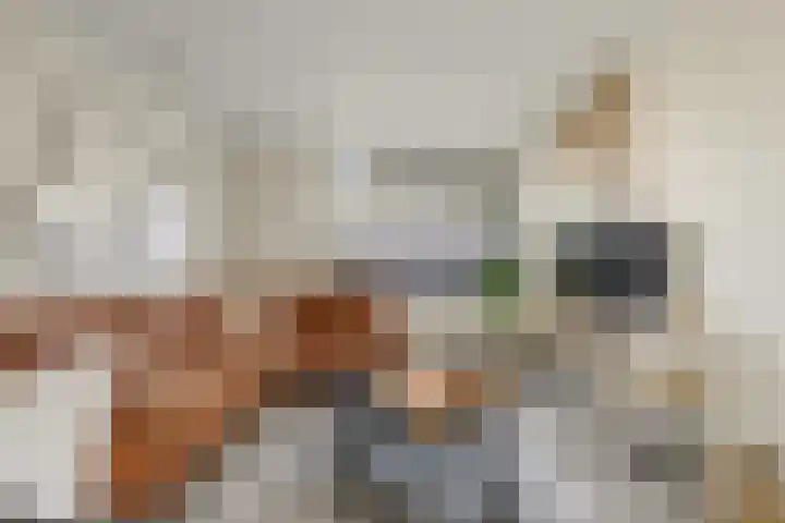 Julianalaan 19 Reeuwijk thumbnail 11