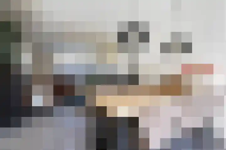 Julianalaan 19 Reeuwijk thumbnail 15