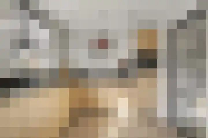 Julianalaan 19 Reeuwijk thumbnail 17