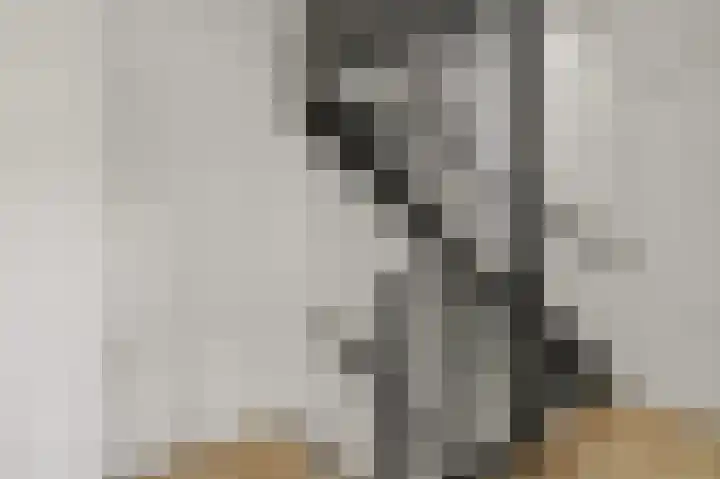 Julianalaan 19 Reeuwijk thumbnail 18