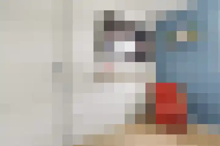 Julianalaan 19 Reeuwijk thumbnail 21