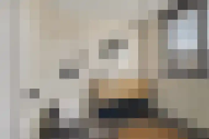 Julianalaan 19 Reeuwijk thumbnail 25