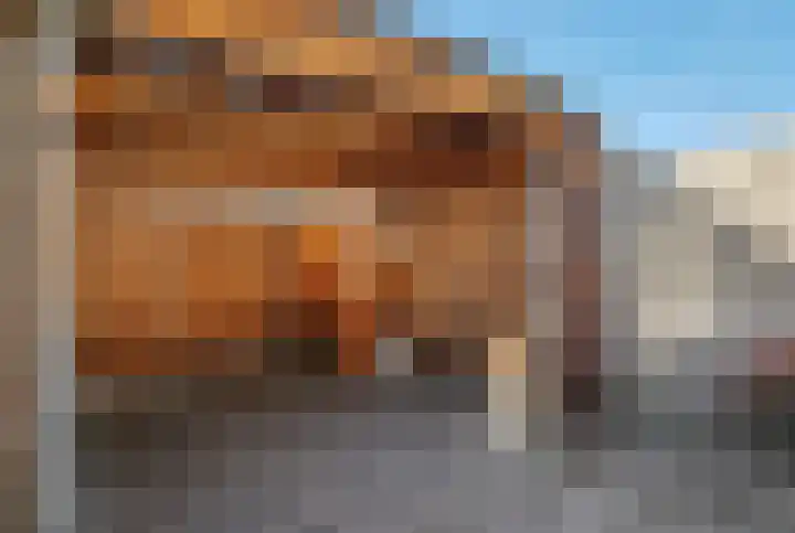 Julianalaan 19 Reeuwijk thumbnail 32