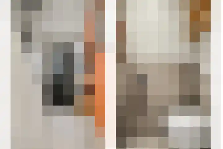 Julianalaan 19 Reeuwijk thumbnail 9