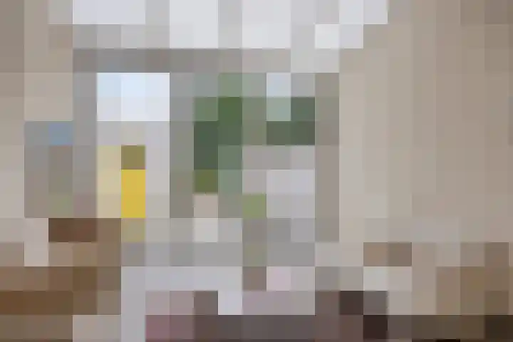 Julianalaan 19 Roermond thumbnail 12