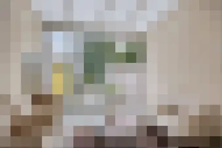 Julianalaan 19 Roermond thumbnail 13