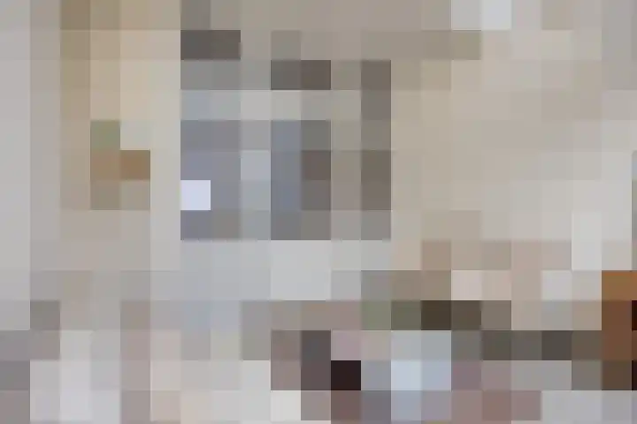 Julianalaan 19 Roermond thumbnail 14