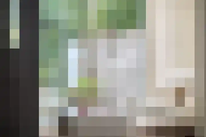 Julianalaan 19 Roermond thumbnail 17