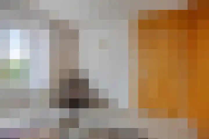 Julianalaan 19 Roermond thumbnail 28