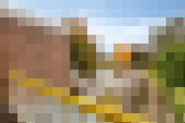 Julianalaan 19 Roermond thumbnail 33