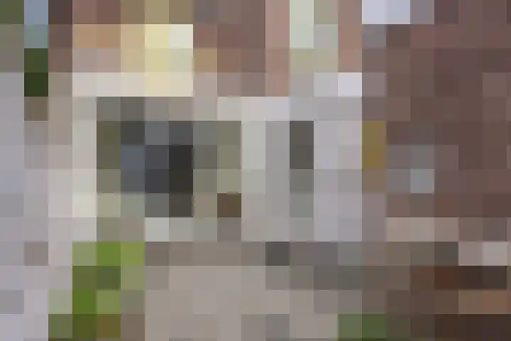 Julianalaan 19 Roermond thumbnail 42