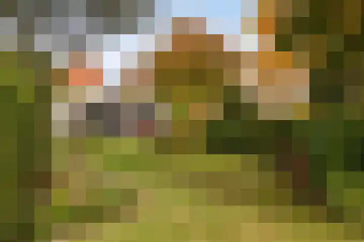 Julianalaan 19 Roermond thumbnail 53