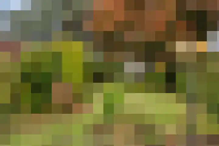 Julianalaan 19 Roermond thumbnail 54