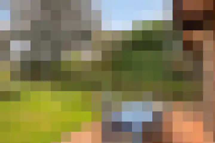 Julianalaan 19 Roermond thumbnail 55