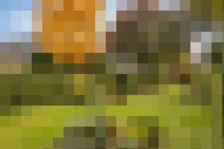 Julianalaan 19 Roermond thumbnail 56
