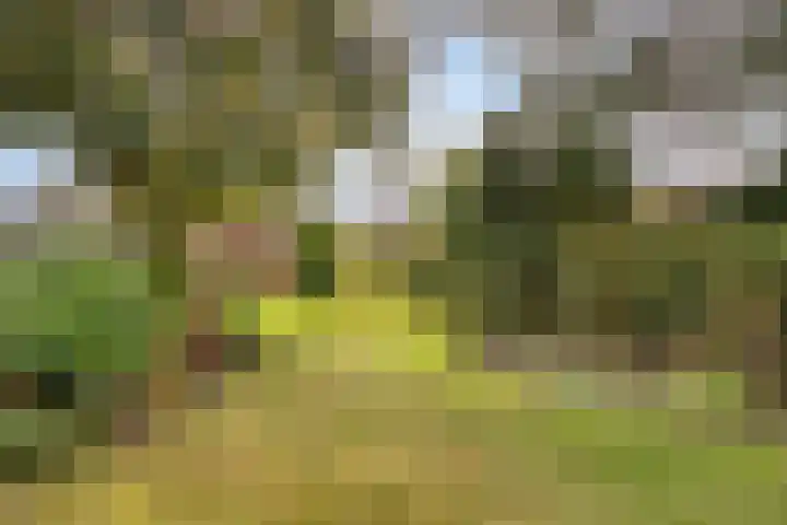 Julianalaan 19 Roermond thumbnail 57