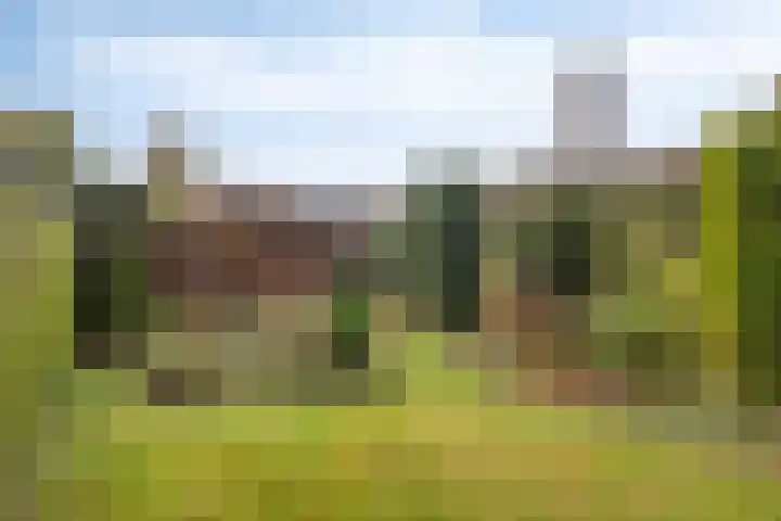 Julianalaan 19 Roermond thumbnail 58