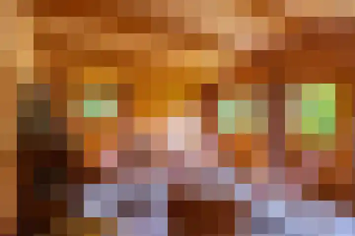 Julianalaan 19 Roermond thumbnail 59