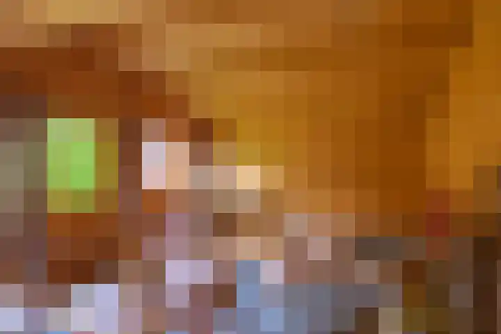 Julianalaan 19 Roermond thumbnail 60