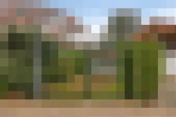 Julianalaan 19 Roermond thumbnail 62