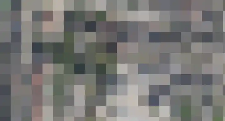 Julianalaan 19 Roermond thumbnail 70