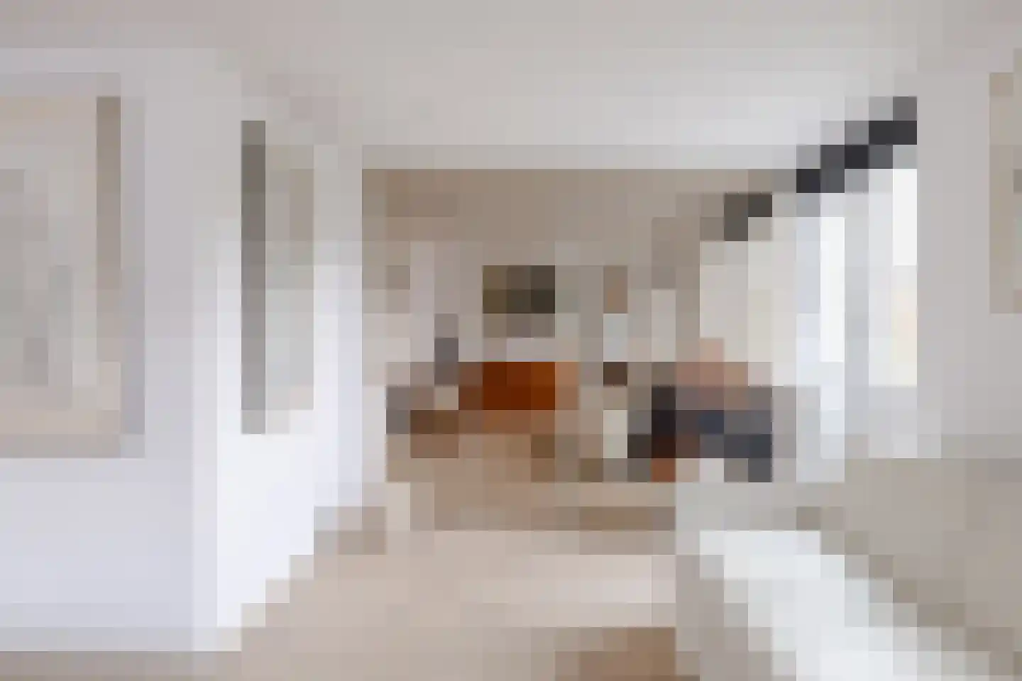 Julianalaan 19 Schagen thumbnail 24