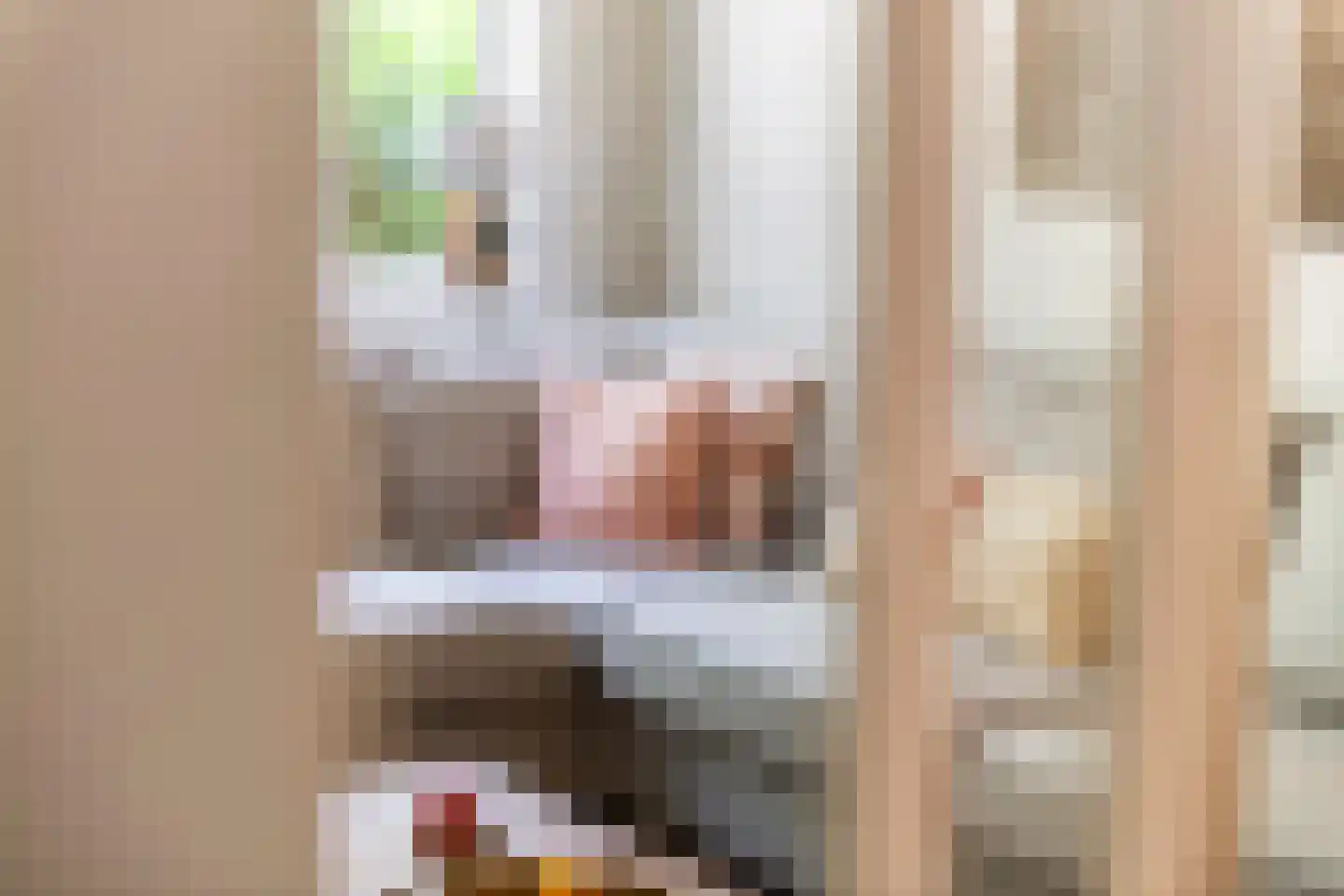 Julianalaan 19 Tiel thumbnail 10