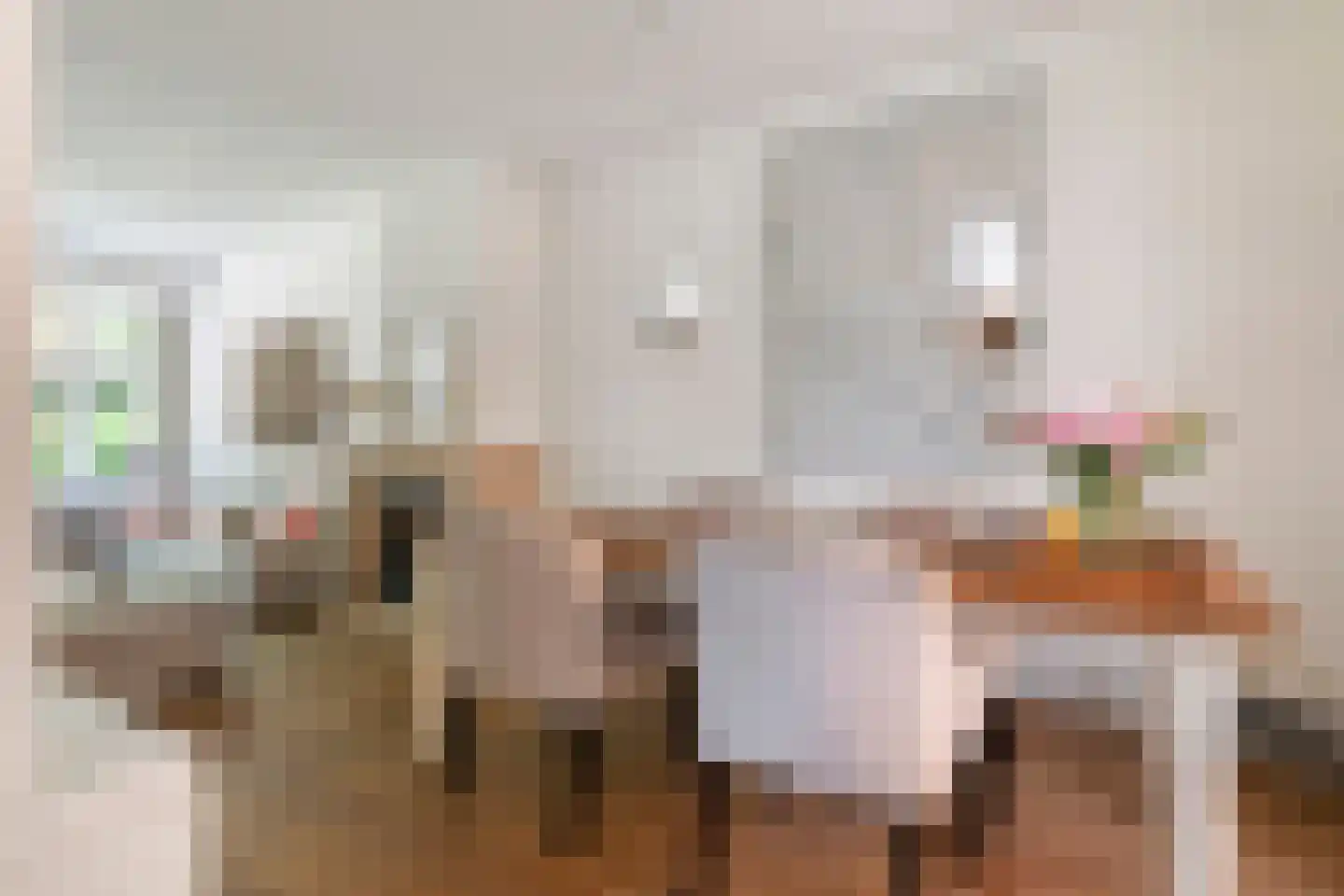 Julianalaan 19 Tiel thumbnail 18