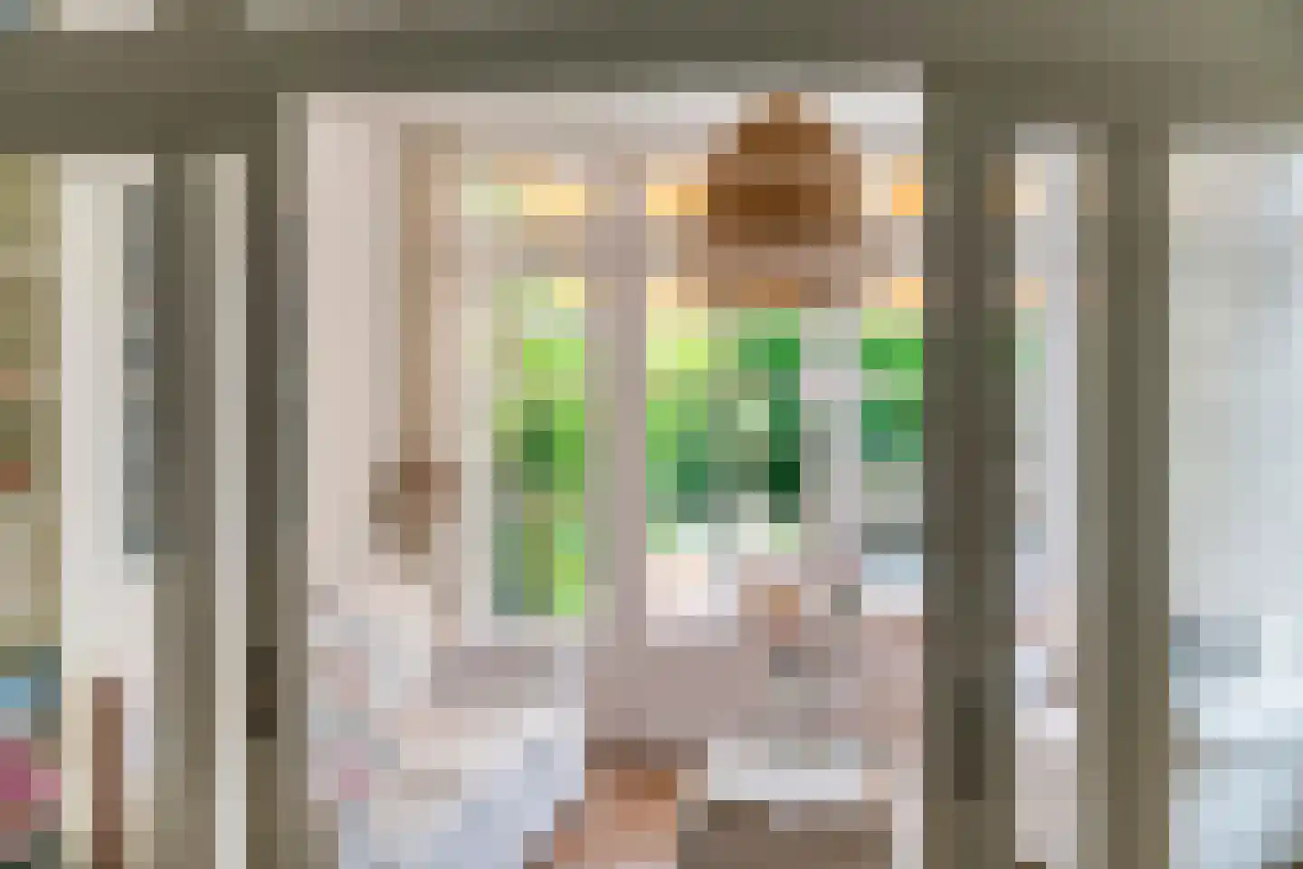 Julianalaan 19 Tiel thumbnail 19