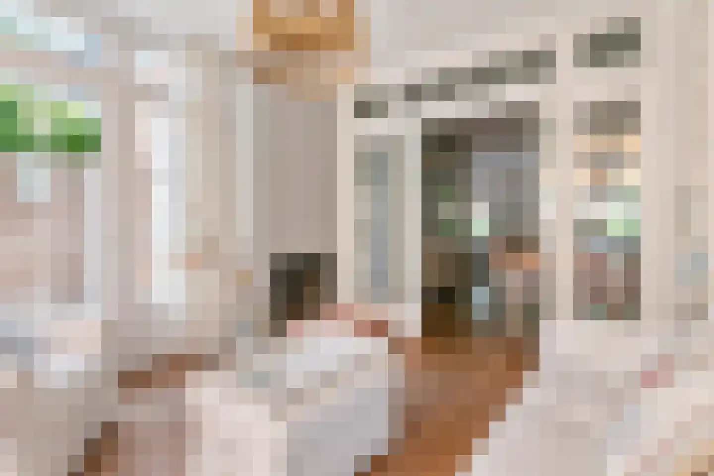 Julianalaan 19 Tiel thumbnail 20