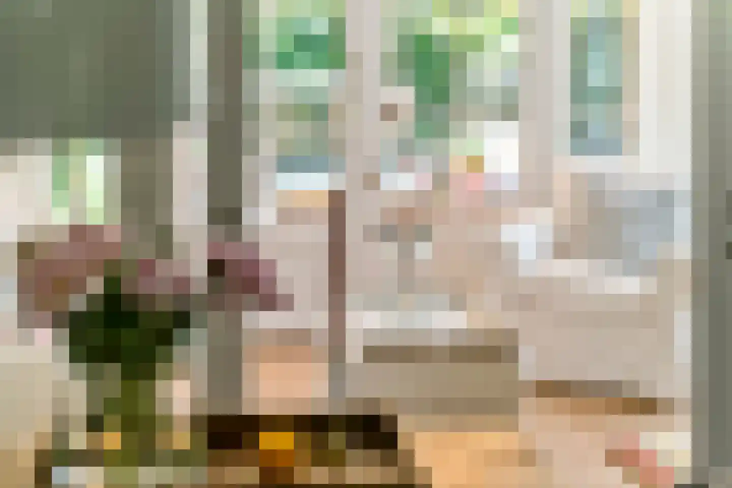 Julianalaan 19 Tiel thumbnail 21