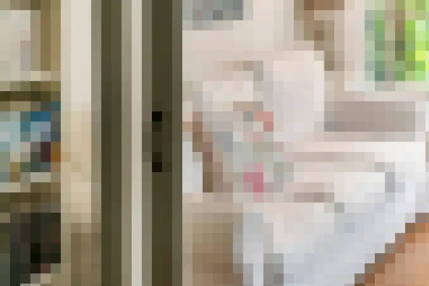 Julianalaan 19 Tiel thumbnail 24