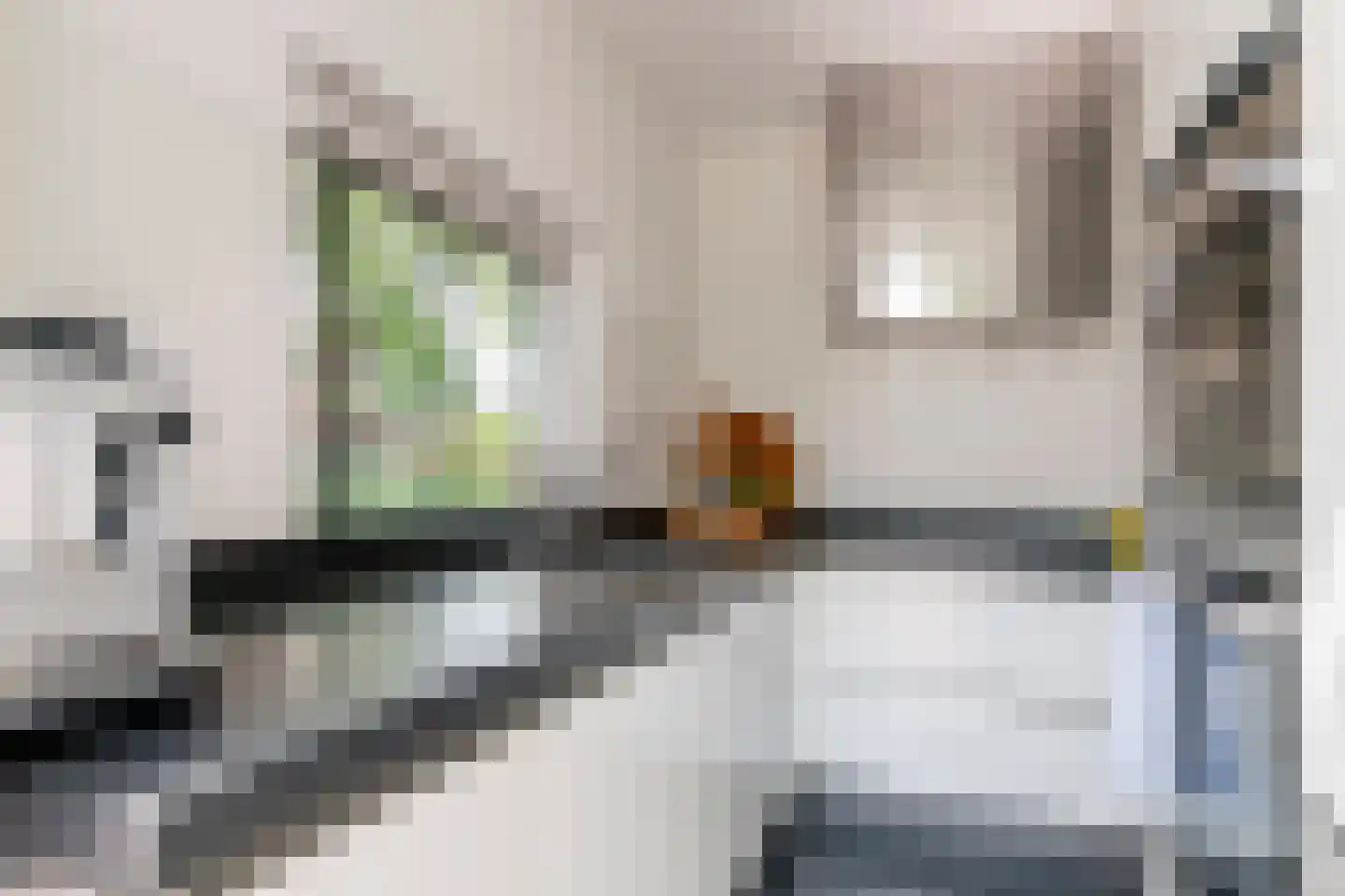 Julianalaan 19 Tiel thumbnail 28