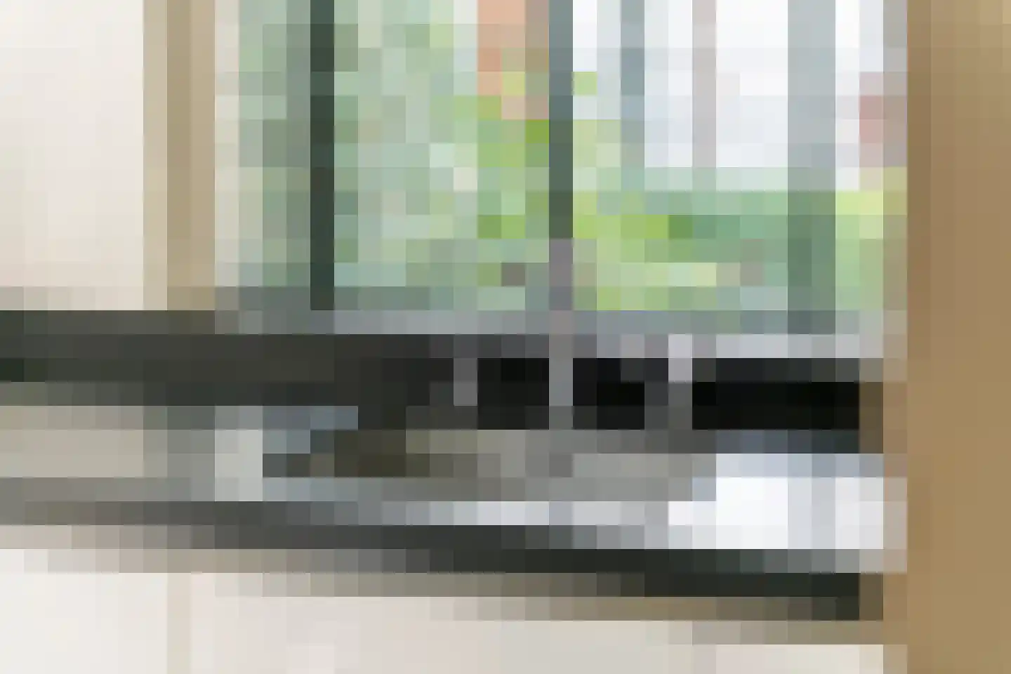 Julianalaan 19 Tiel thumbnail 31