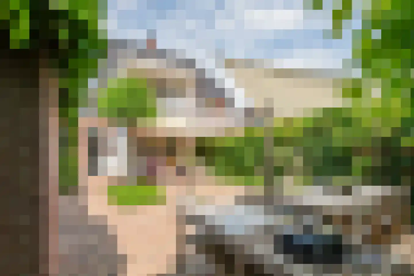 Julianalaan 19 Tiel thumbnail 37