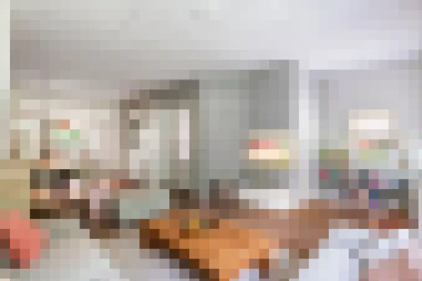 Julianalaan 19 Tiel thumbnail 4