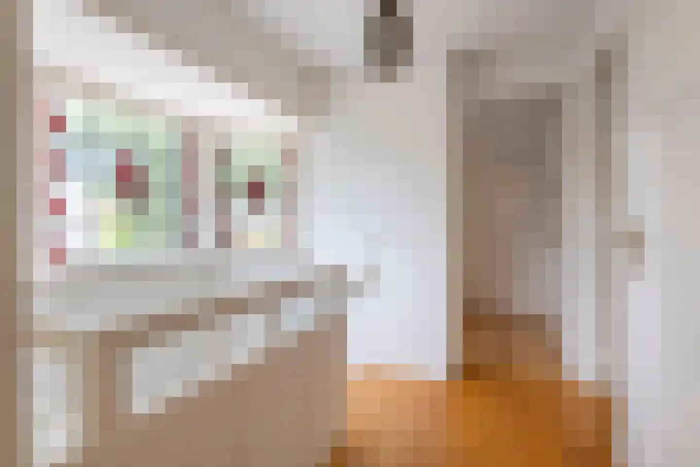 Julianalaan 19 Tiel thumbnail 45