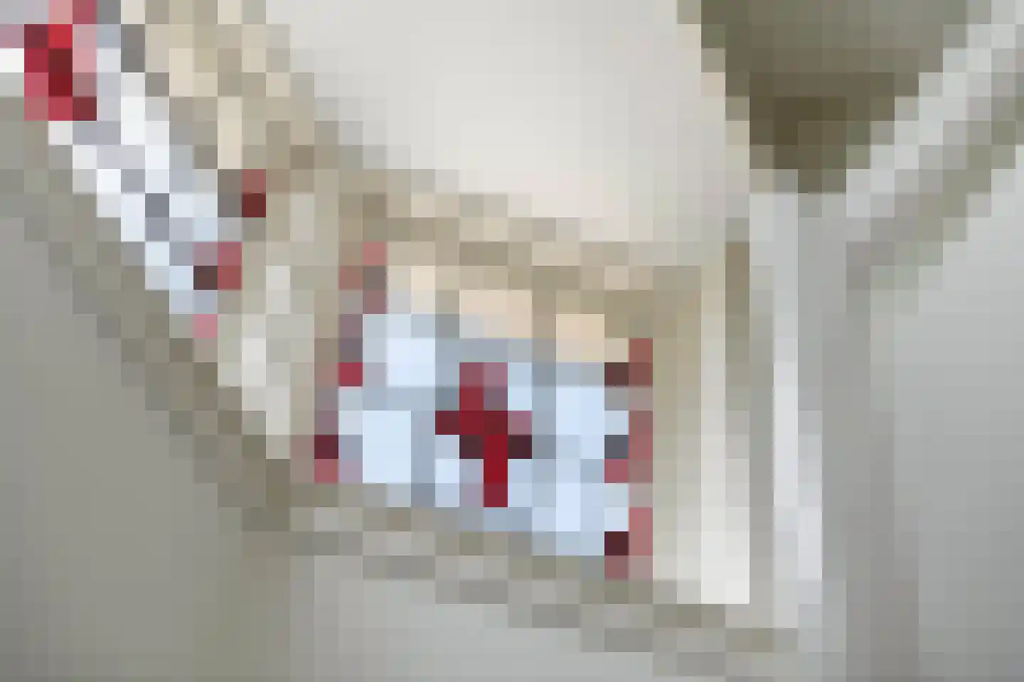 Julianalaan 19 Tiel thumbnail 47
