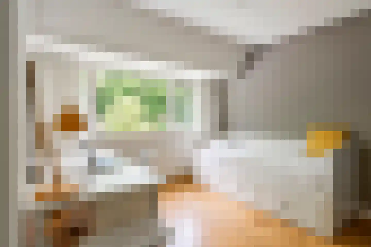 Julianalaan 19 Tiel thumbnail 51