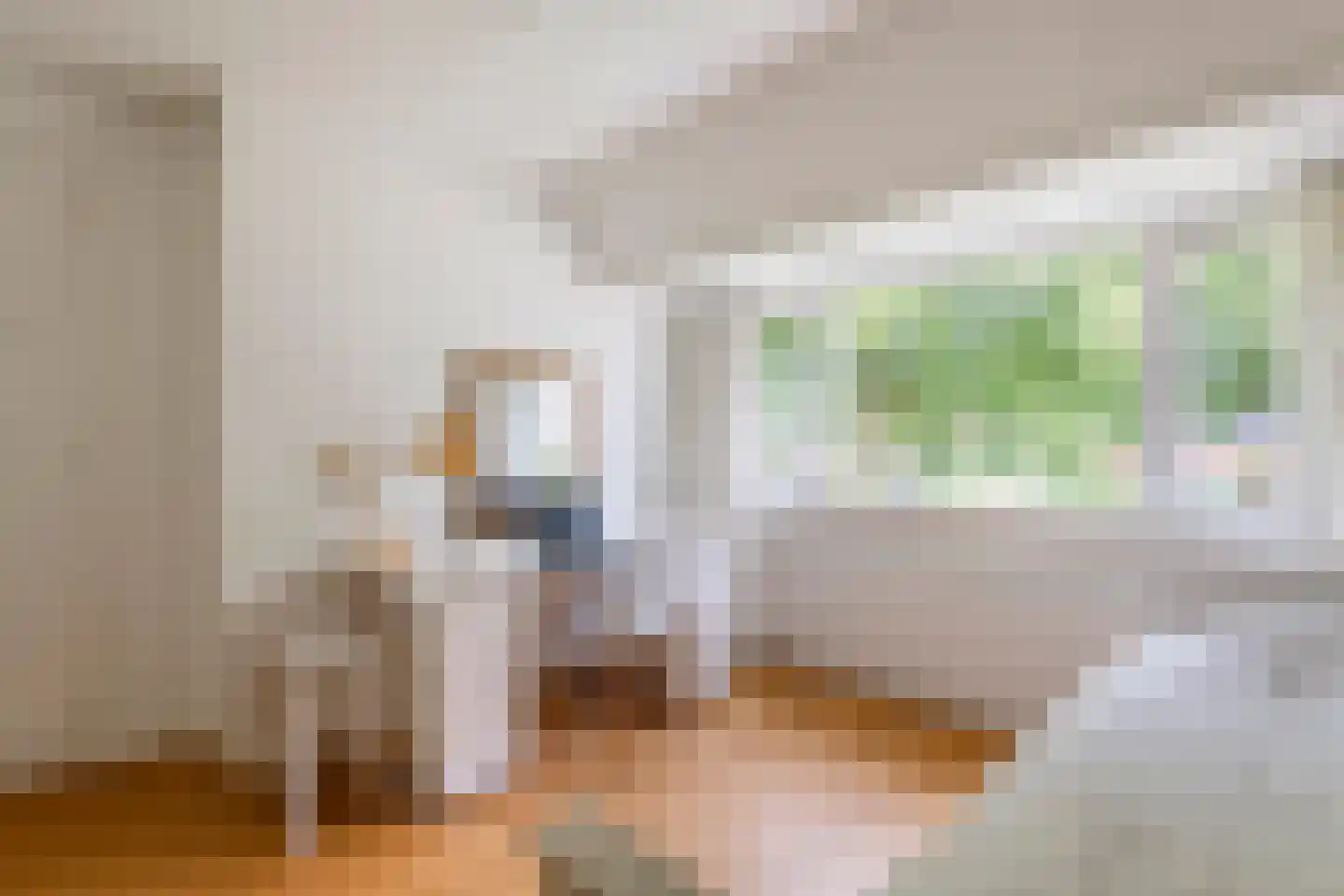 Julianalaan 19 Tiel thumbnail 52