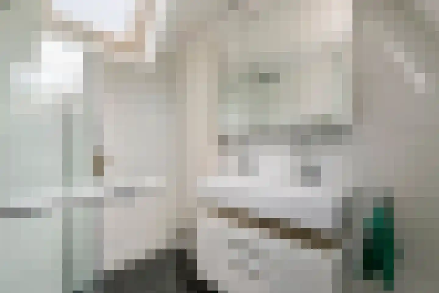 Julianalaan 19 Tiel thumbnail 56