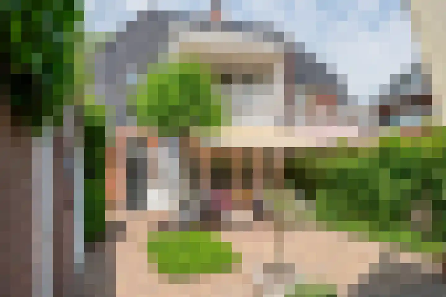 Julianalaan 19 Tiel thumbnail 6